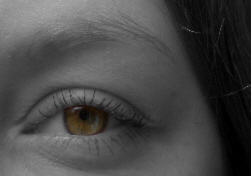 Auge